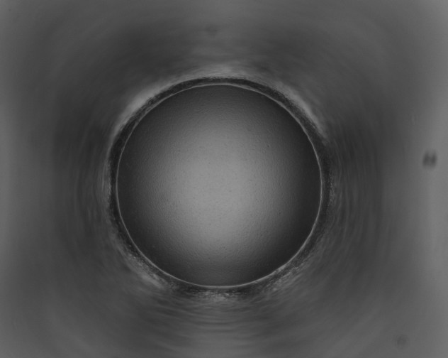 X0000089961270200707131529