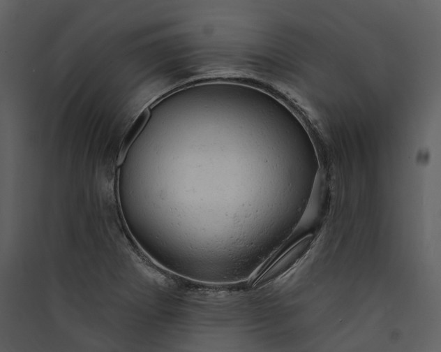 X0000089961273200707131529