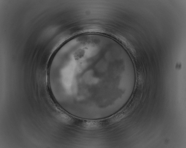 X0000089961274200707131529