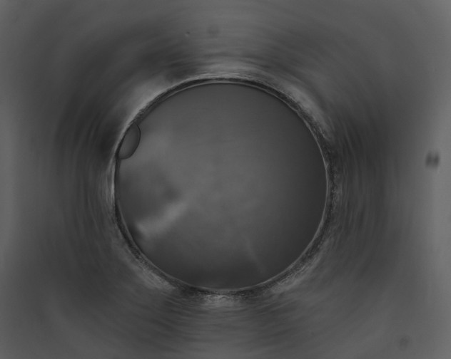 X0000089961275200707131529