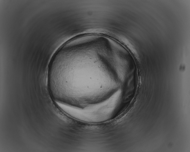 X0000089961276200707131529