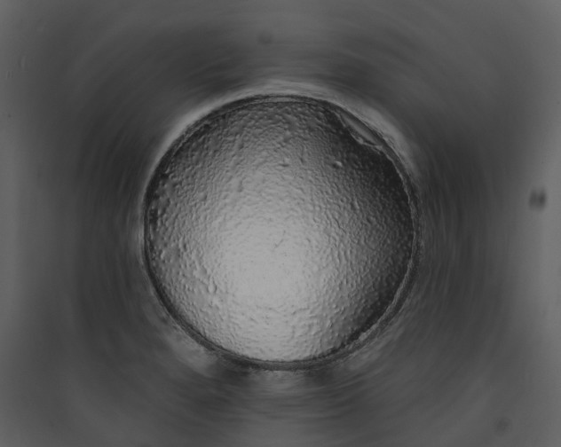 X0000089961280200707131529