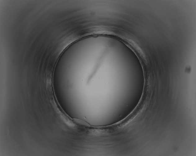 X0000089961281200707131529