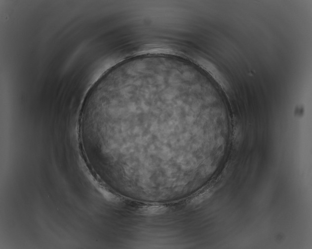 X0000089961282200707131529