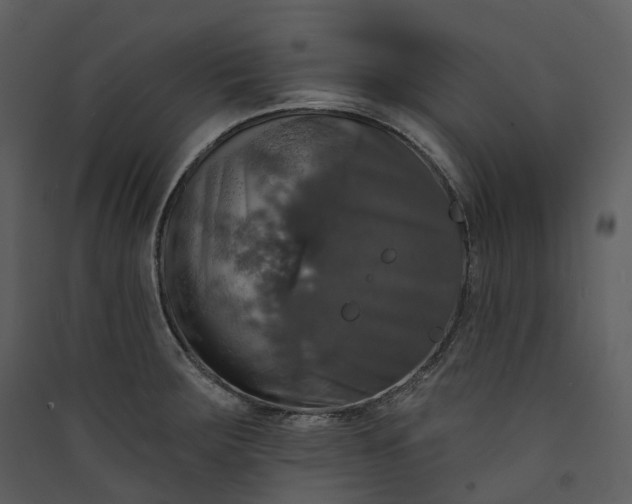 X0000089961283200707131529