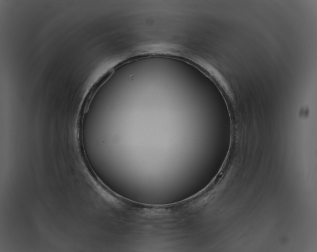 X0000089961285200707131529