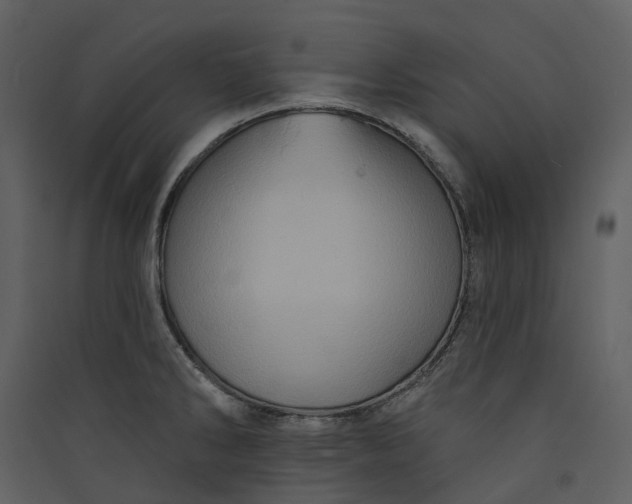 X0000089961286200707131529