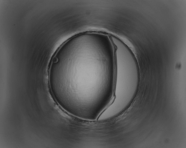 X0000089961287200707131529