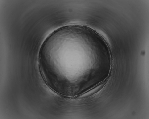 X0000089961288200707131529