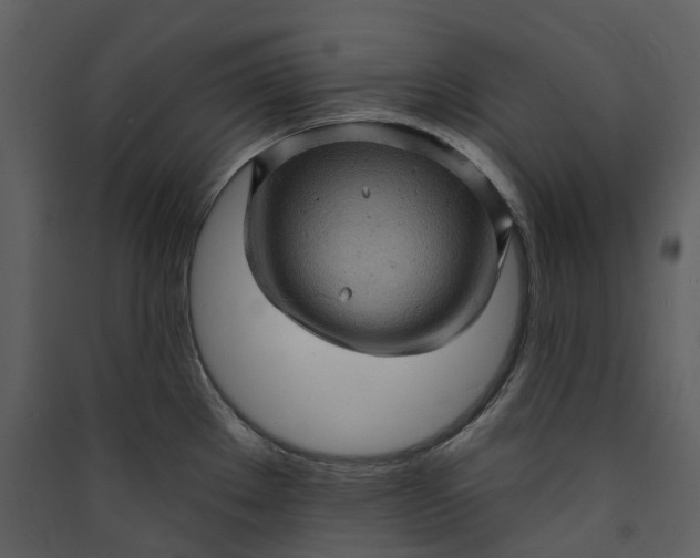 X0000089961289200707131529