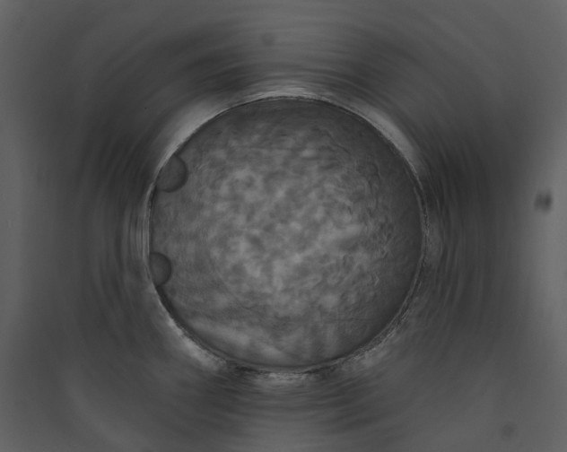 X0000089961290200707131529