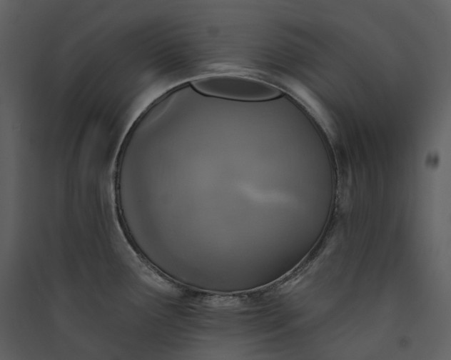 X0000089961291200707131529