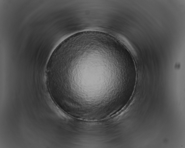 X0000089961292200707131529