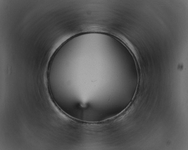 X0000089961293200707131529