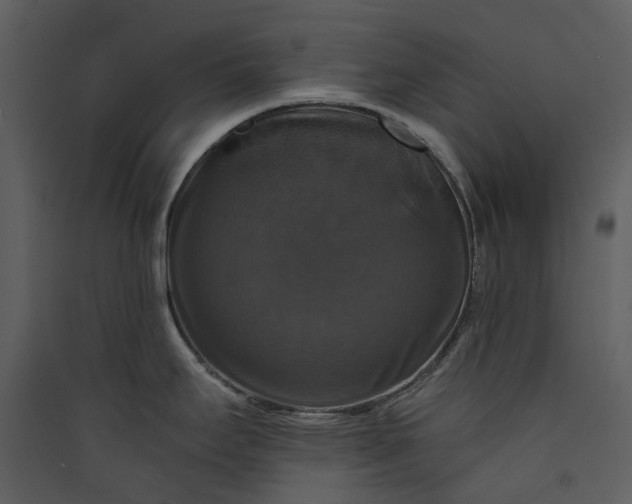 X0000089961295200707131529