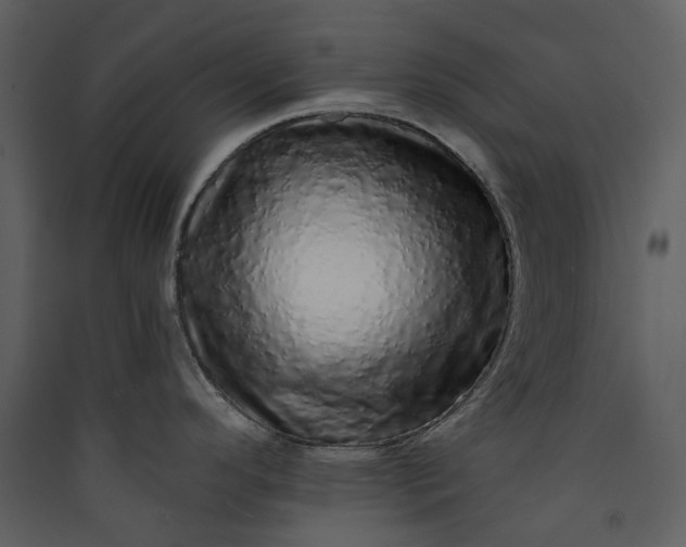 X0000089961296200707131529