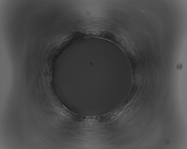 X0000089961297200707131529