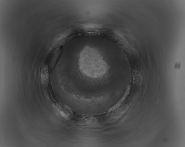 X0000089961298200707131529