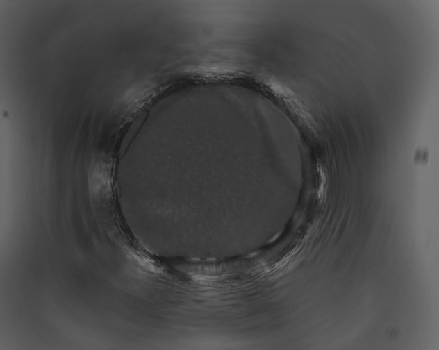 X0000089961300200707131529