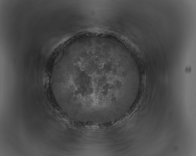 X0000089961302200707131529