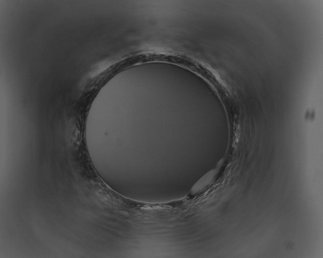 X0000089961303200707131529