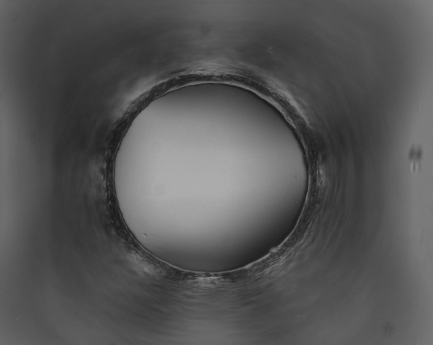X0000089961304200707131529