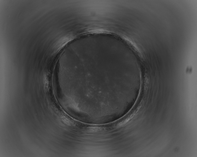 X0000089961305200707131529