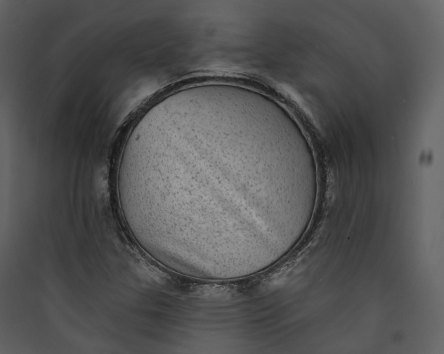 X0000089961307200707131529