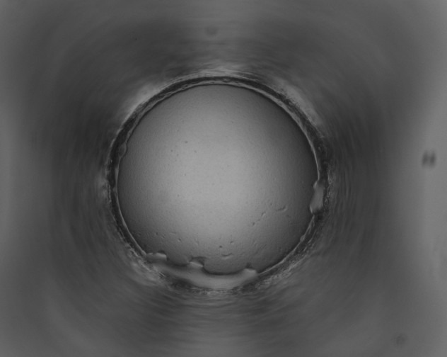 X0000089961308200707131529