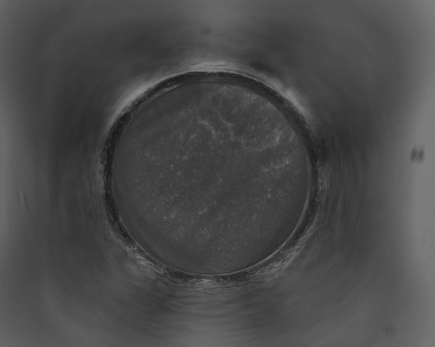 X0000089961311200707131529