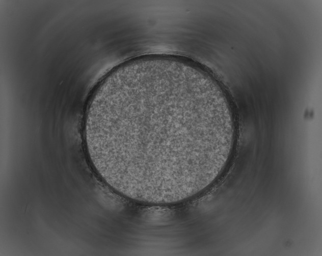 X0000089961314200707131529