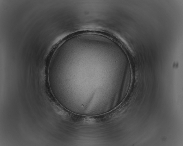 X0000089961315200707131529