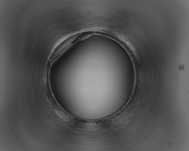 X0000089961316200707131529