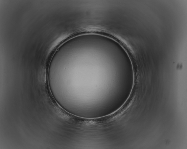 X0000089961317200707131529