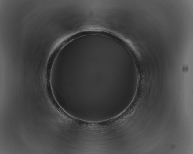 X0000089961319200707131529