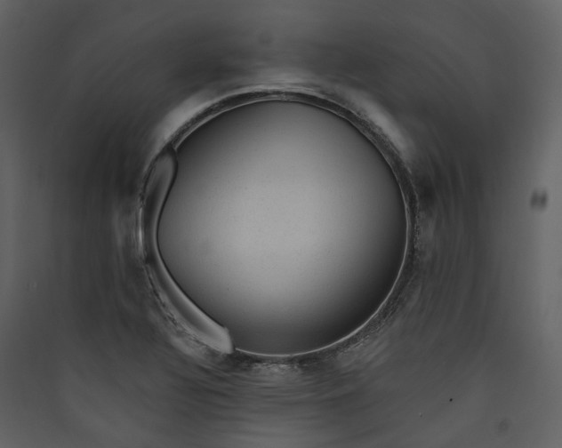 X0000089961320200707131529