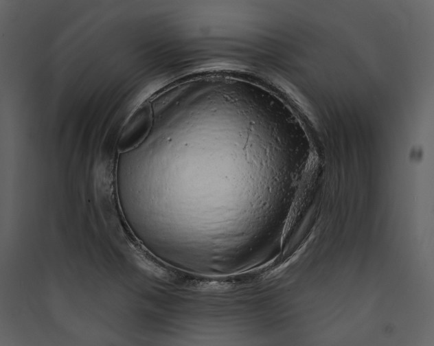X0000089961321200707131529