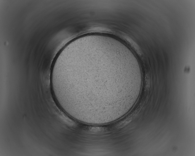 X0000089961322200707131529