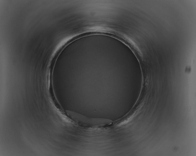 X0000089961323200707131529