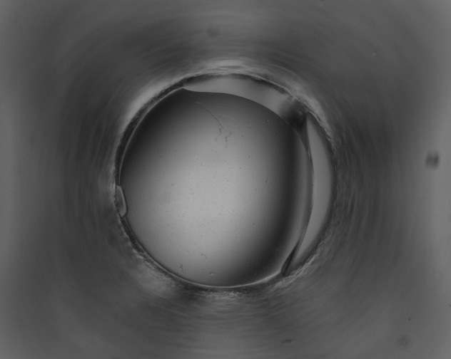 X0000089961328200707131529