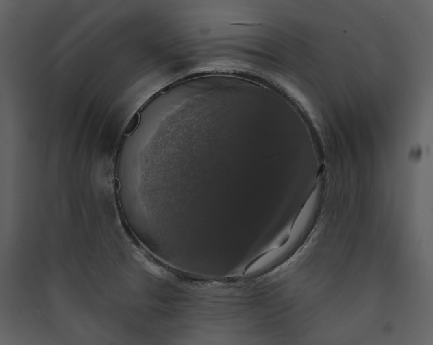 X0000089961329200707131529