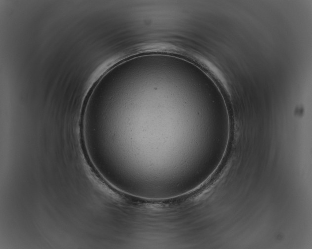 X0000089961330200707131529