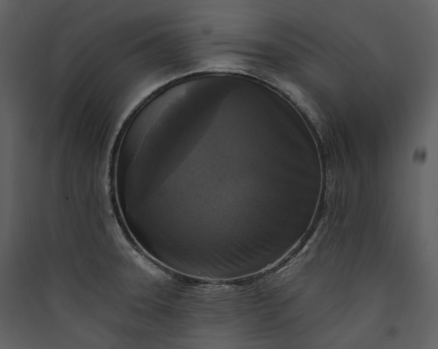 X0000089961331200707131529