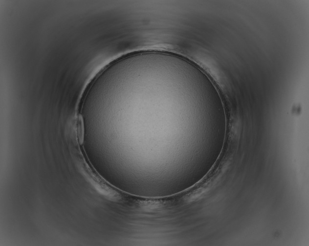 X0000089961332200707131529
