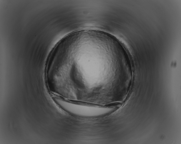 X0000089961333200707131529