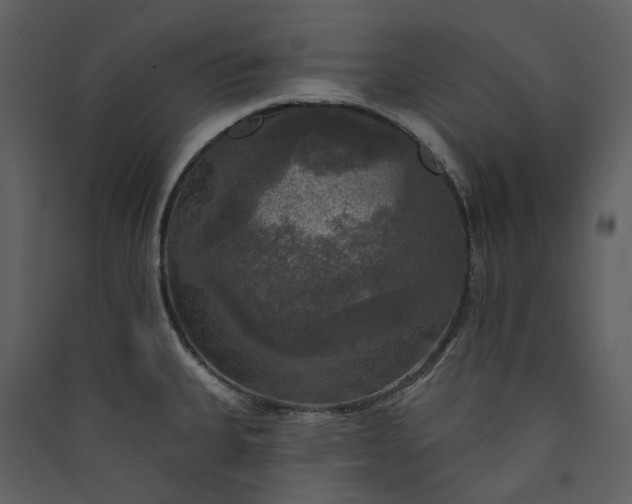 X0000089961335200707131529