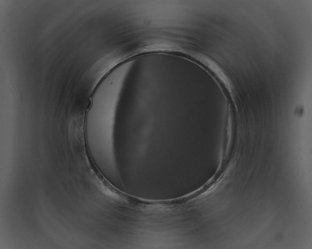 X0000089961337200707131529