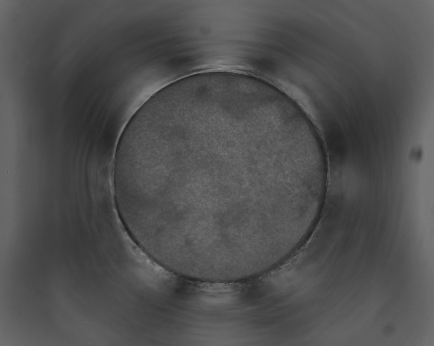 X0000089961338200707131529