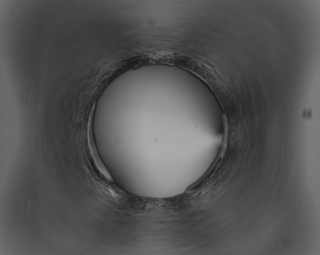 X0000089961345200707131529