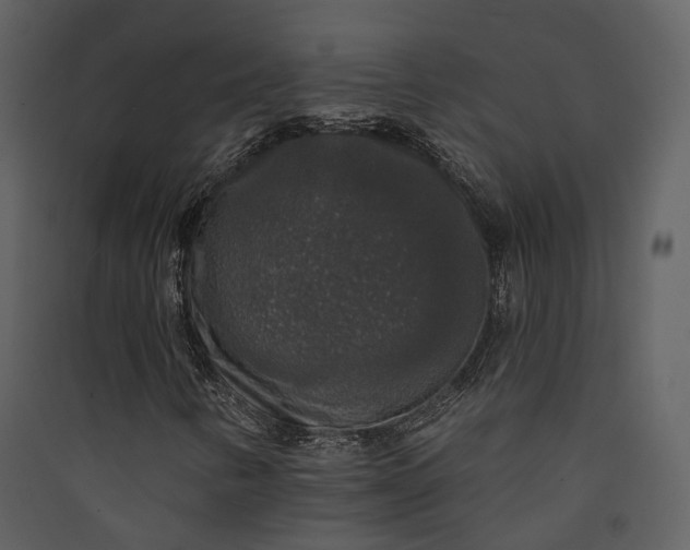 X0000089961346200707131529